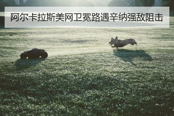 a-er-ka-la-si-mei-wang-wei-mian-lu-yu-xin-na-qiang-di-zu-ji-2-277.jpg